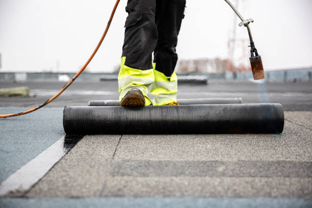 Best Asphalt Shingles Roofing  in Marshalltown, IA